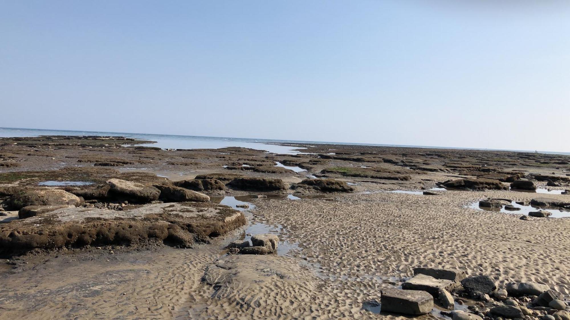 Billie'S Seaside Retreat Villa Lyme Regis Dış mekan fotoğraf